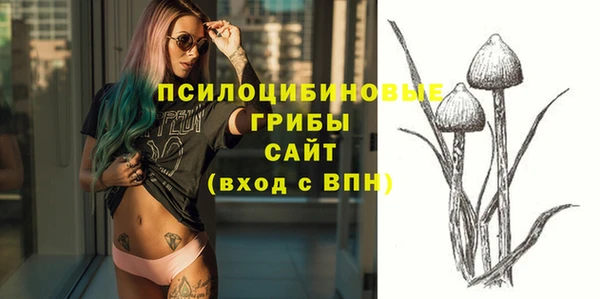 spice Алексеевка